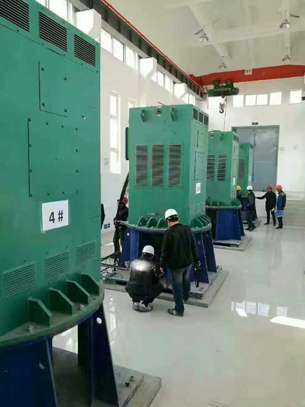 JR146-8某污水处理厂使用我厂的立式高压电机安装现场