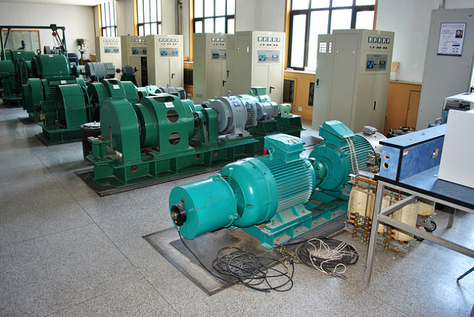 JR146-8某热电厂使用我厂的YKK高压电机提供动力