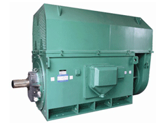 JR146-8YKK系列高压电机