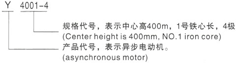 西安泰富西玛Y系列(H355-1000)高压JR146-8三相异步电机型号说明