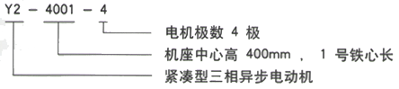 YR系列(H355-1000)高压JR146-8三相异步电机西安西玛电机型号说明